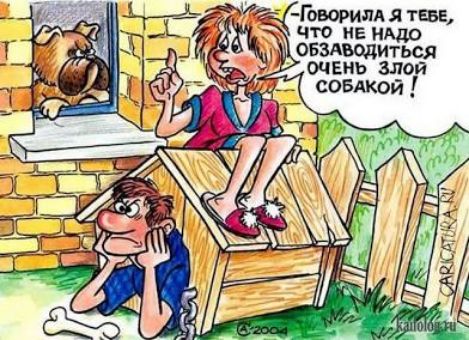 Говорила я тебе, что не надо обзаводиться очень злой собакой!