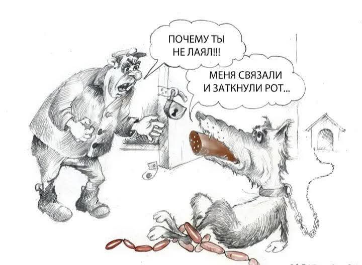ПОЧЕМУ ТЫ НЕ ЛЯЛ!!!
МЕНЯ СВЯЗАЛИ И ЗАТКНУЛИ РОТ…
