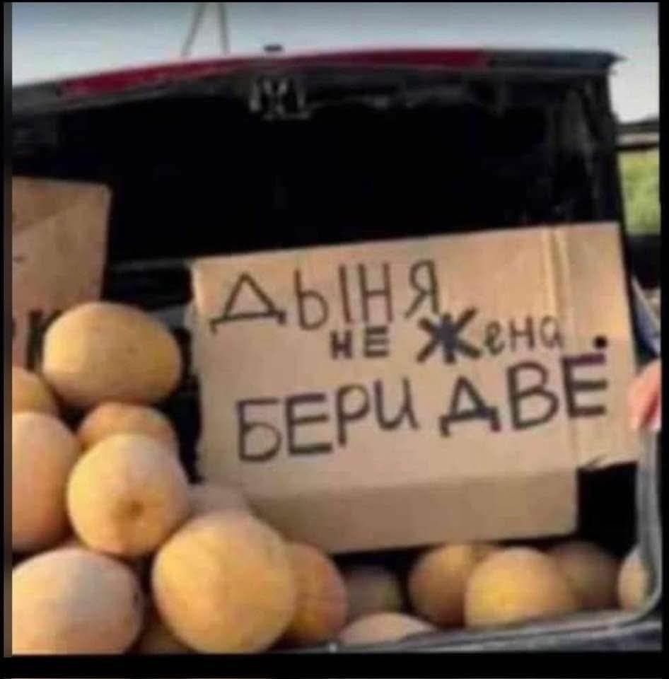 Ды́ня не жена. Бери две.