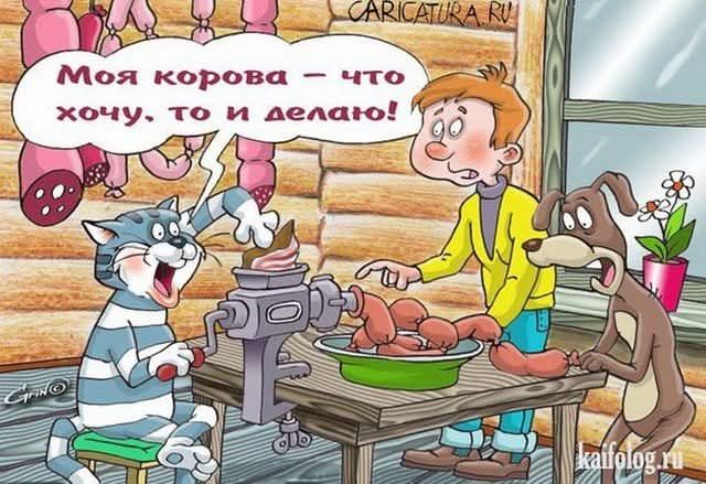 Моя корова – что хочу, то и делаю!