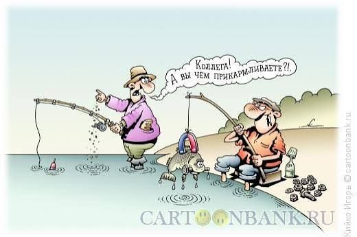 Коллега! А вы чем прикармливаете?!