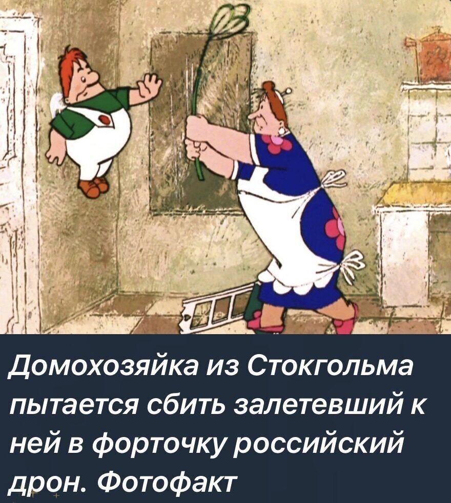 Домохозяйка из Стокгольма пытается сбить залетевший к ней в форточку российский дрон. Фотофакт