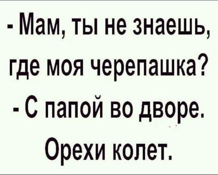 - Мам, ты не знаешь, где моя черепашка?
- С папой во дворе. Орехи колет.
