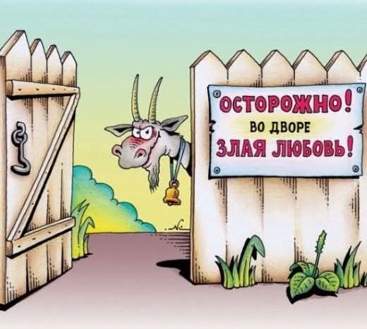 ОСТОРОЖНО! ВО ДВОРЕ ЗЛАЯ ЛЮБОВЬ!
