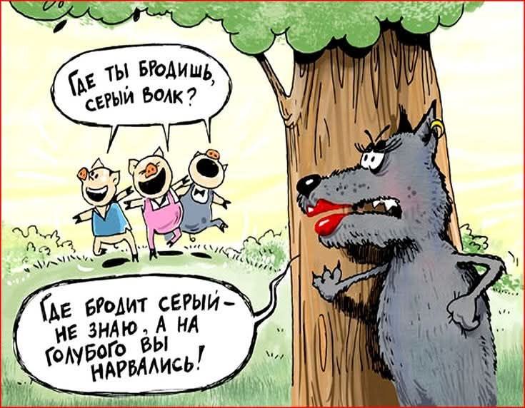 Где ты бродишь, серый волк? Где бродит серый — не знаю, а на кого голубого вы нравились!