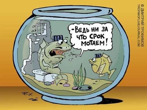 Ведь ни за что срок мотaем!