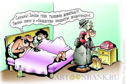 Слушай! Зачем тебе телефон доверия?! Звони сразу в «Общество защиты животных».