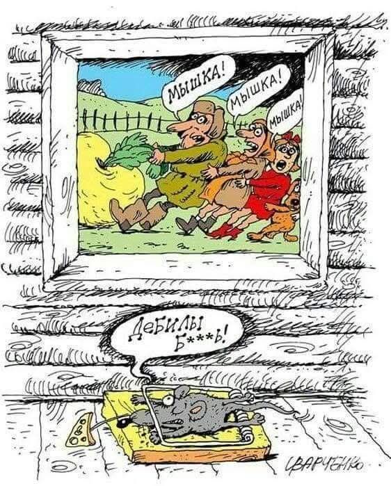 мышка! мышка! мышка! Дерьлы б***ы!