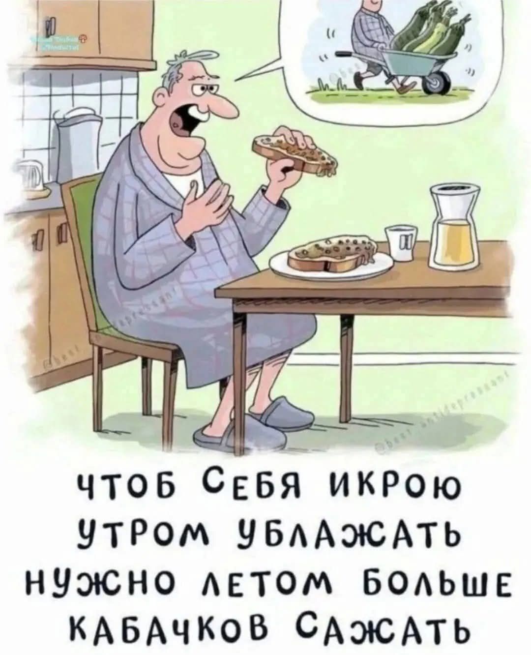 ЧТОБ СЕБЯ ИКРОЮ УТРОМ УБЛАЖАТЬ НУЖНО Летом БОЛЬШЕ КАБАЧКОВ САДЖАТЬ
