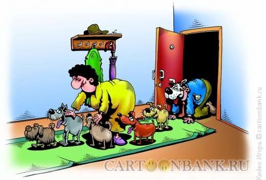 Карикатура: мужчина кормит множество животных у входа в дом
