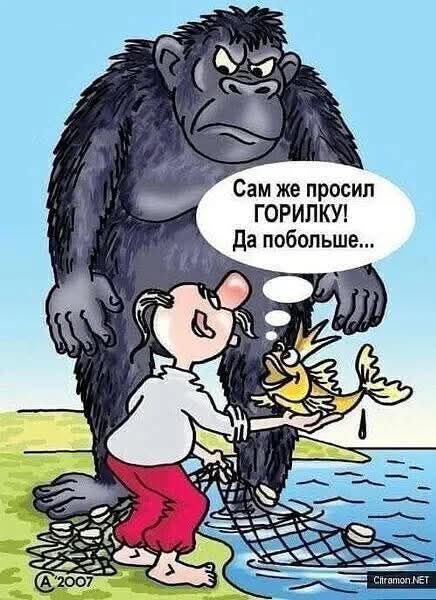 Сам же просил ГОРИЛКУ! Да побольше...