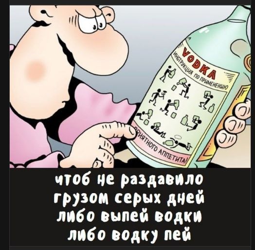 Чтоб не раздaвило грузом серых дней либо выпей водки либо водку пей