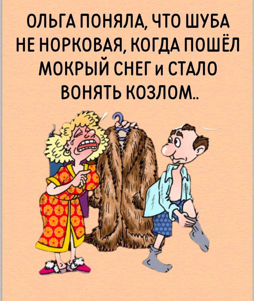 ОЛЬГА ПОНЯЛА, ЧТО ШУБА НЕ НОРКОВАЯ, КОГДА ПОШЁЛ МОКРЫЙ СНЕГ И СТАЛО ВОНЯТЬ КОЗЛОМ..