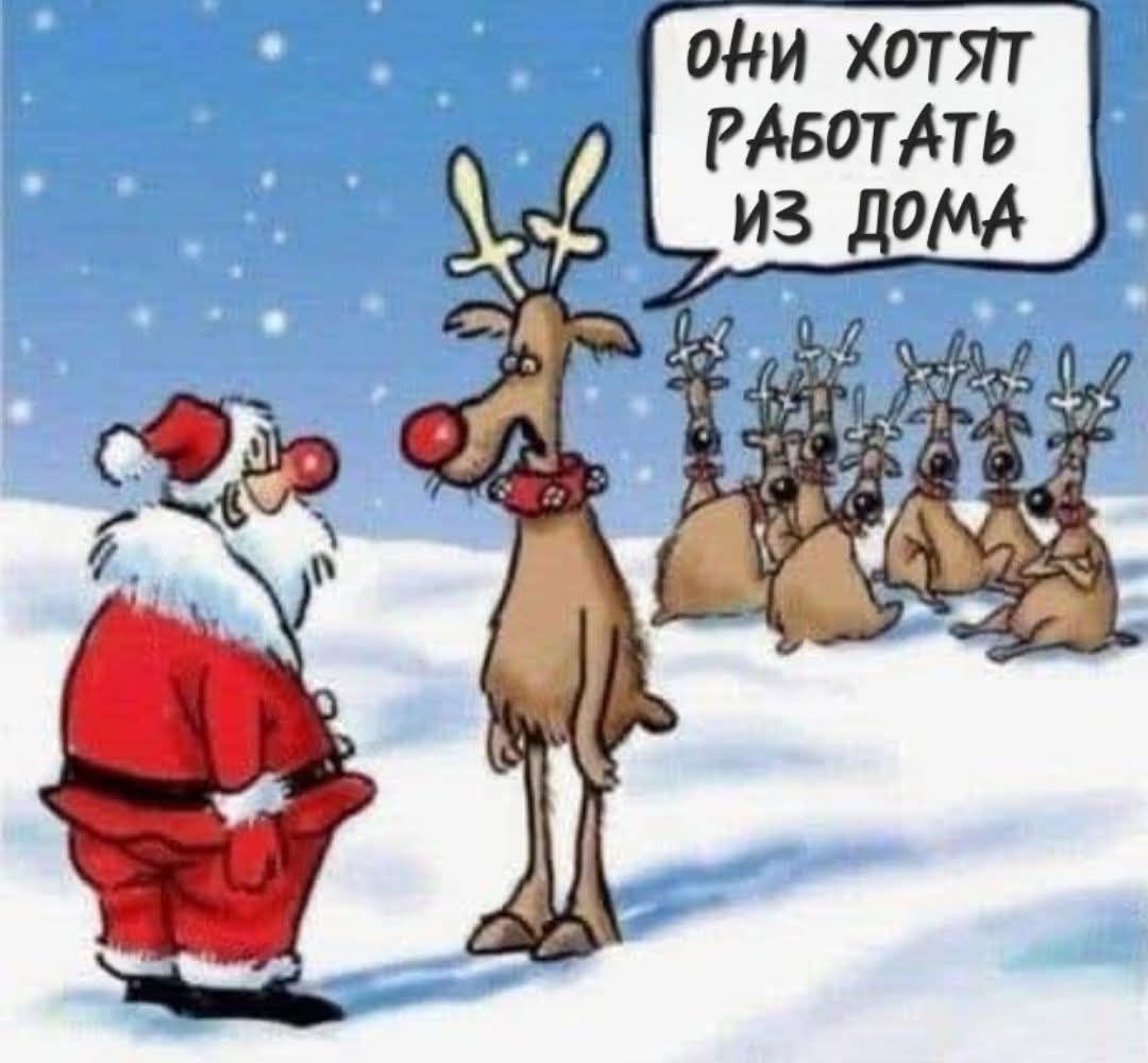 ОНИ ХОТЯТ РАБОТАТЬ ИЗ ДОМА