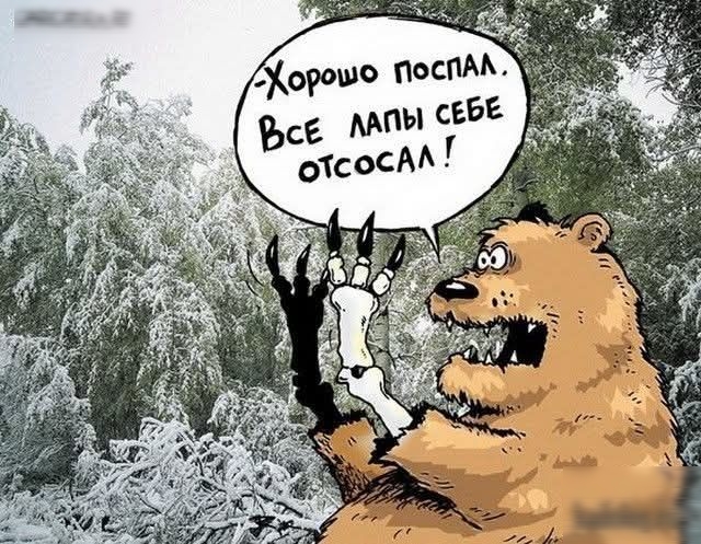 - Хорошо поспал. Все лапы себе отсосал!