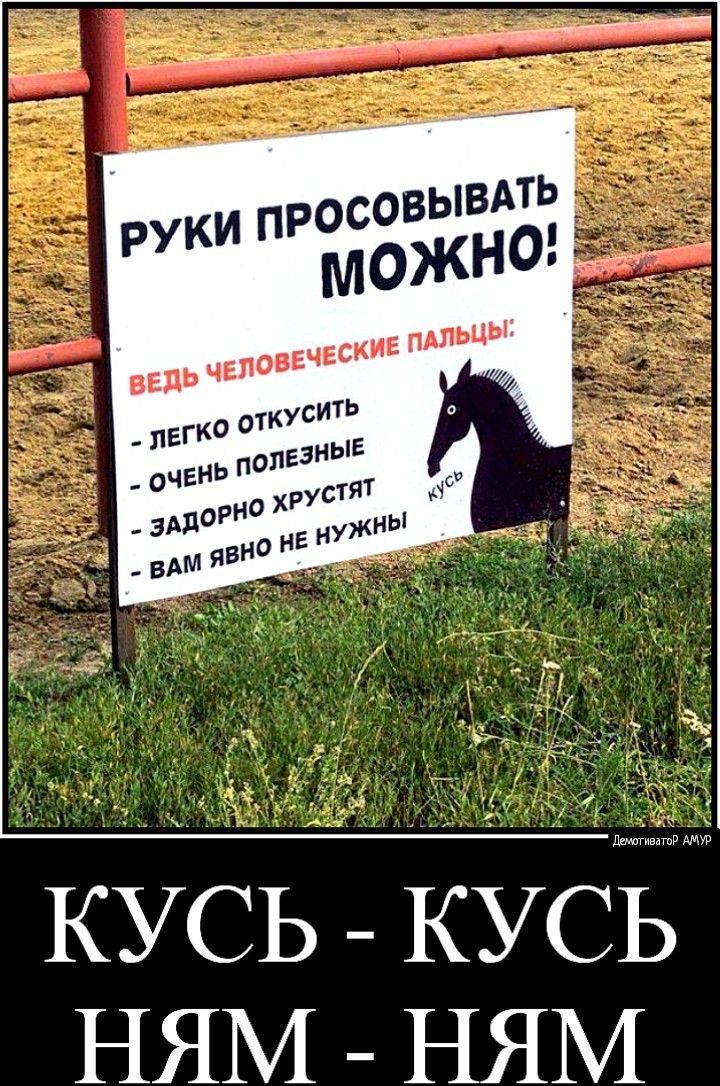 РУКИ ПРОСОВЫВАТЬ МОЖНО! ВЕДЬ ЧЕЛОВЕЧЕСКИЕ ПАЛЬЦЫ: - ЛЕГКО ОТКУСТИТЬ - ОЧЕНЬ ПОЛЕЗНЫЕ - ЗАДОРНО ХРУСТЯТ - ВАМ ЯВНО НЕ НУЖНЫ КУСЬ - КУСЬ НЯМ - НЯМ