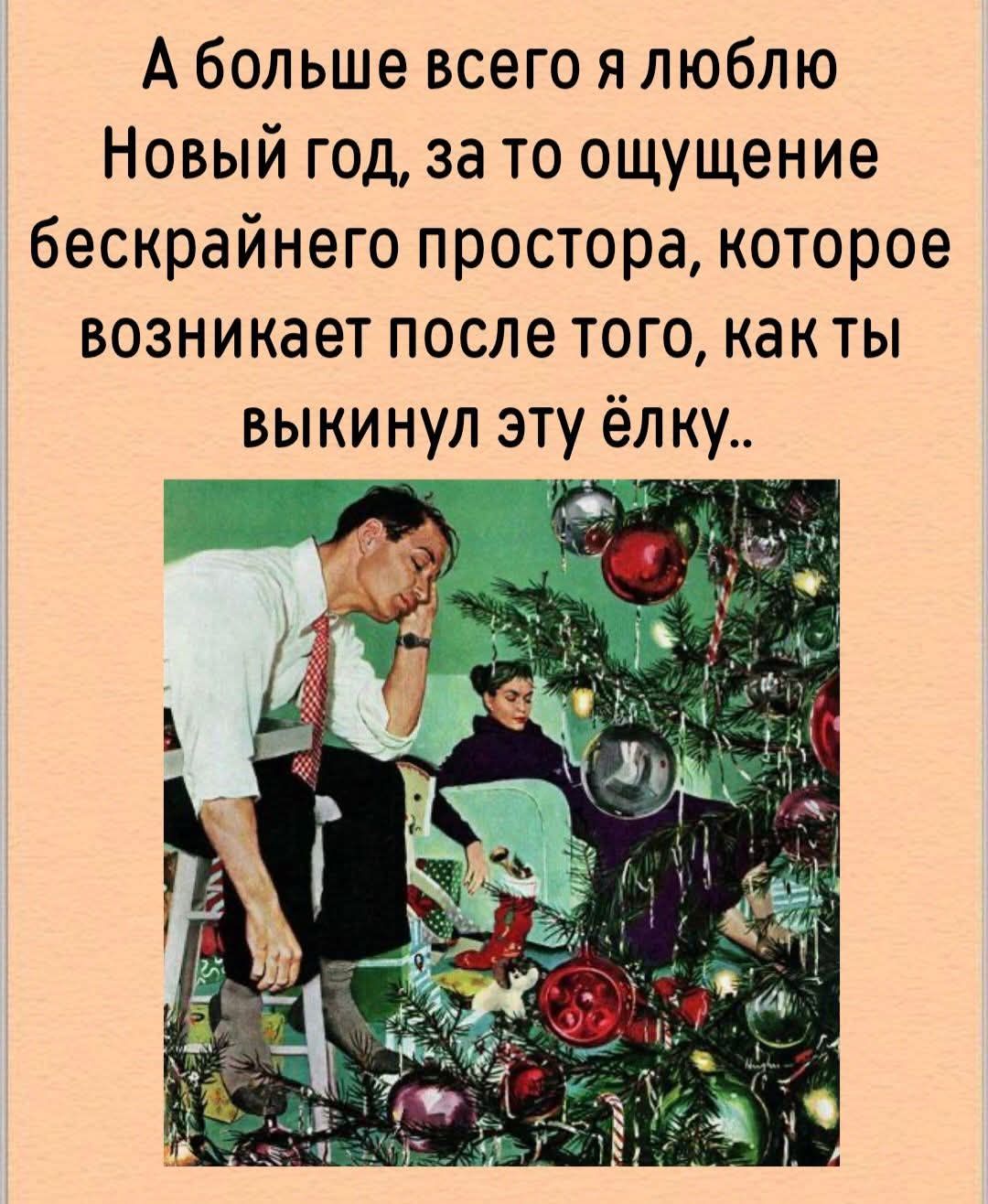 А больше всего я люблю Новый год, за то ощущение бескрайнего простора, которое возникает после того, как ты выкинул эту ёлку..
