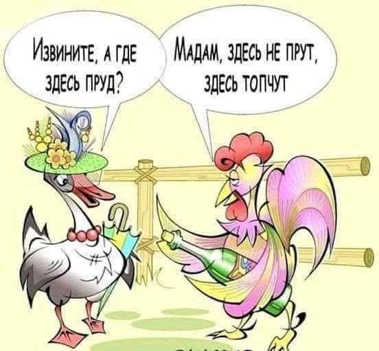 Извините, а где здесь пруд? Мадам, here не пруд, здесь топят