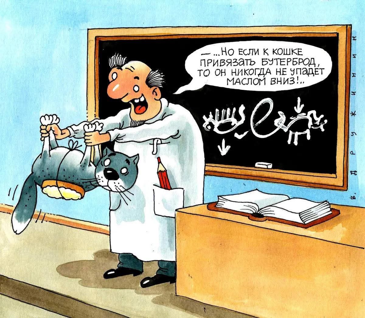 — Но если к кошке привязать бутерброд, то он никогда не упадет маслом вниз!..