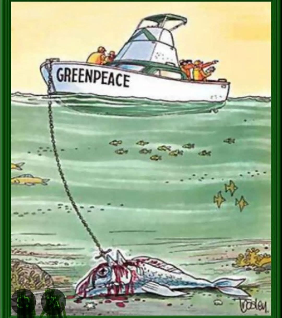 Карикатура: лодка Greenpeace тащит за борт мертвую рыбу; на воде разбросаны рыбы, на переднем плане люди смотрят.