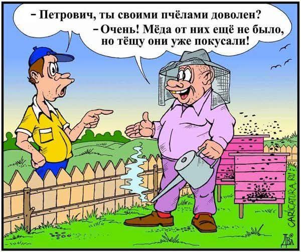 - Петрович, ты своими пчёлами доволен?
- Очень! Мёда от них ещё не было, но тёщу они уже покусали!