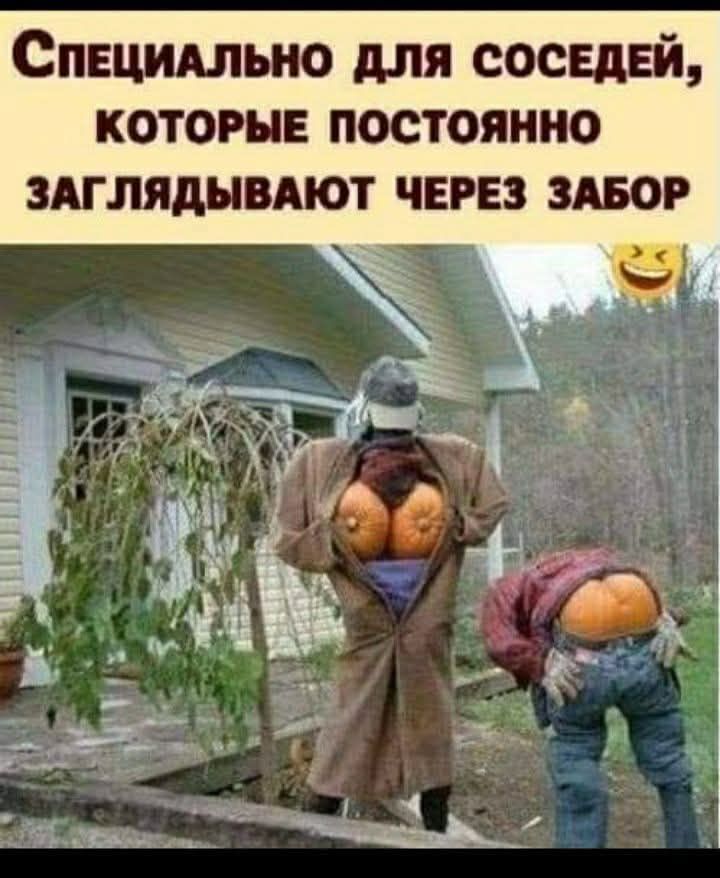 Специально для соседей, которые постоянно заглядывают через забор