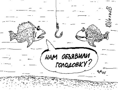 НАМ ОБЪЯВИЛИ ГОЛОДОВКУ?