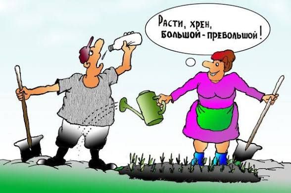 Расти, хрен, большой-пребольшой!