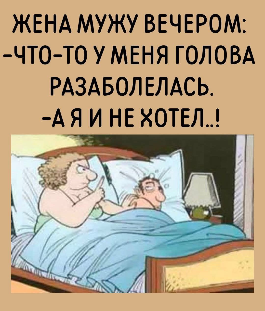 ЖЕНА МУЖУ ВЕЧЕРОМ: -ЧТО-ТО У МЕНЯ ГОЛОВА РАЗБОЛЕЛАСЬ. -А Я И НЕ ХОТЕЛ...!