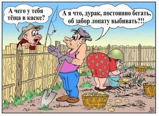 А чего у тебя тёща в каске? А я что, дурак, постоянно бегать, об забор лопату выбивать?!
