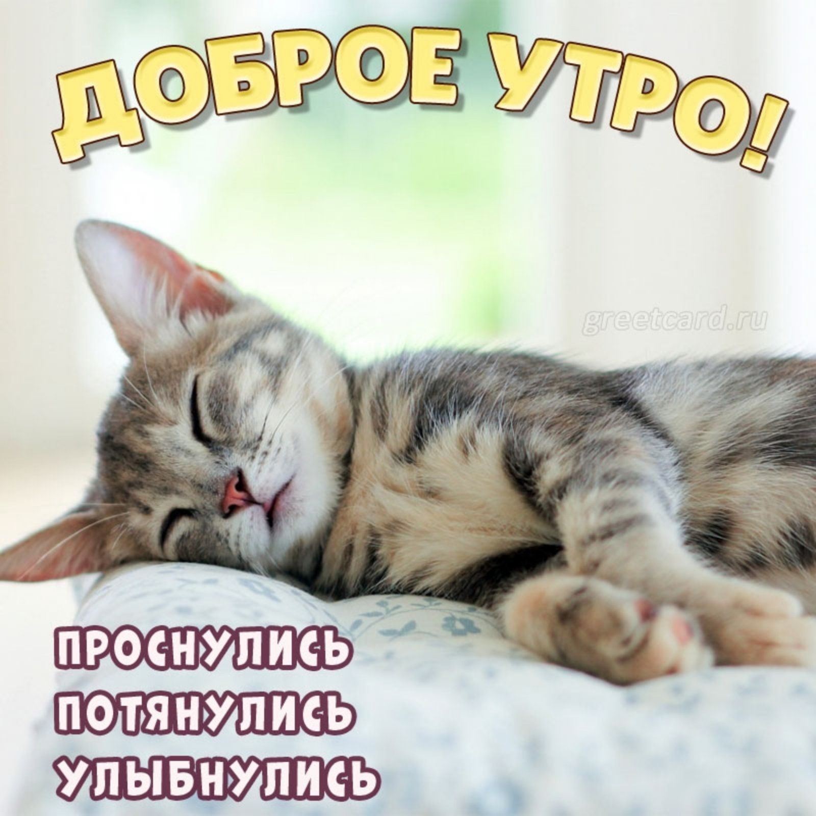 ДОБРОЕ УТРО! ПРОСНУЛИСЬ ПОТЯНУЛИСЬ УЛЫБНУЛИСЬ