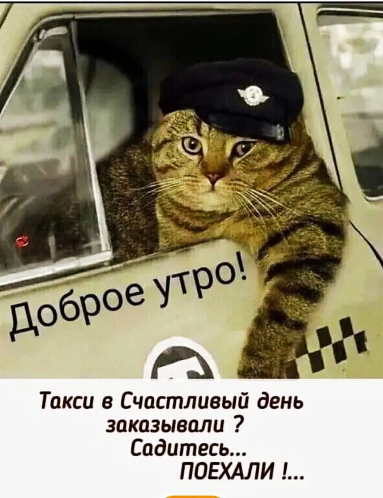 Доброе утро!
Такси в Счастливый день заказывали ?
Садитесь... ПОЕХАЛИ!...