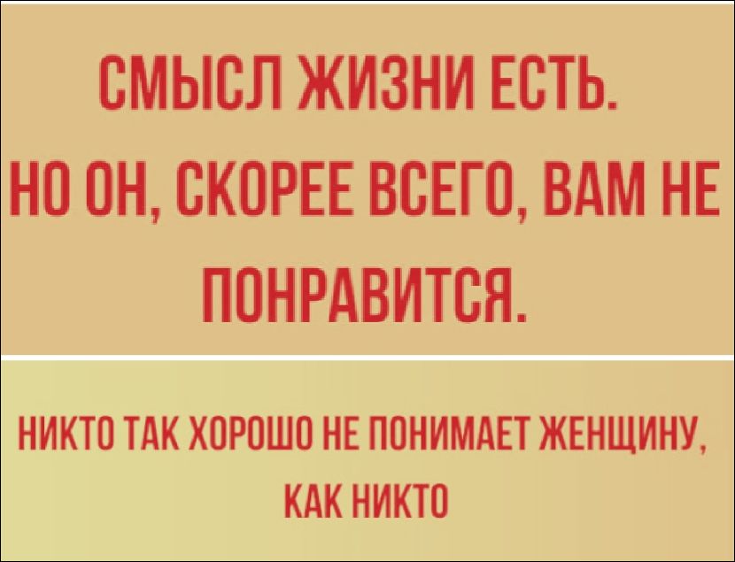 СМЫСЛ ЖИЗНИ ЕСТЬ. НО ОН, СКОРОЕ ВСЕГО, ВАМ НЕ ПОНРАВИТСЯ. НИКТО ТАК ХОРОШО НЕ ПОНИМАЕТ ЖЕНЩИНУ, КАК НИКТО