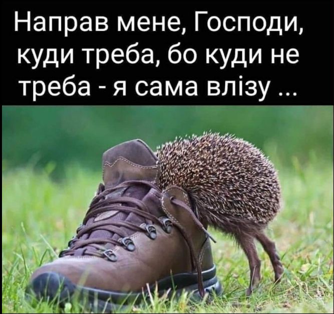 Направ менe, Господи, куди треба, бо куди не треба - я сама влізу ...