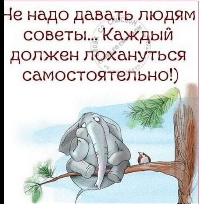 Не надо давать людям советы... Каждый должен лохануться самостоятельно!)