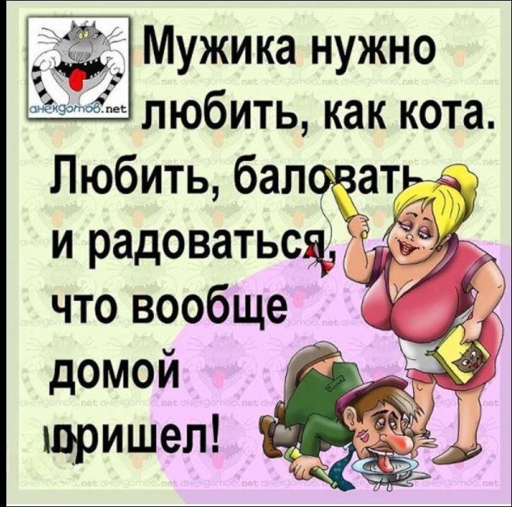 Мужика нужно любить, как кота. Любить, баловать и радоваться, что вообще домой пришел!