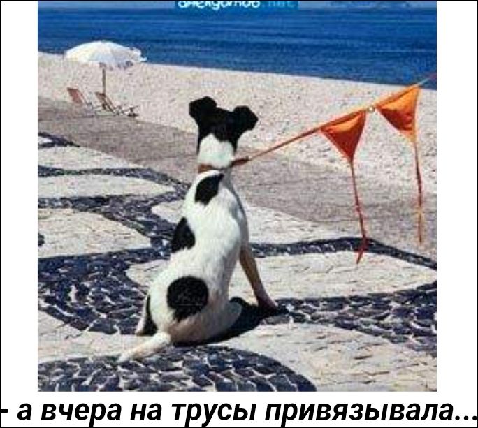 а вчера на трусы привязывала...