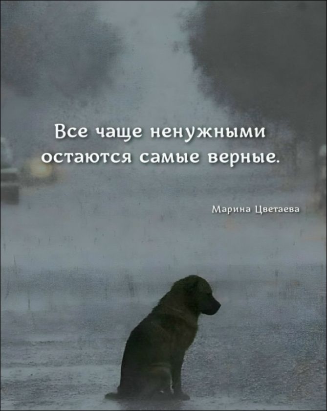Все чаще ненужными остаются самые верные.
Марина Цветаева