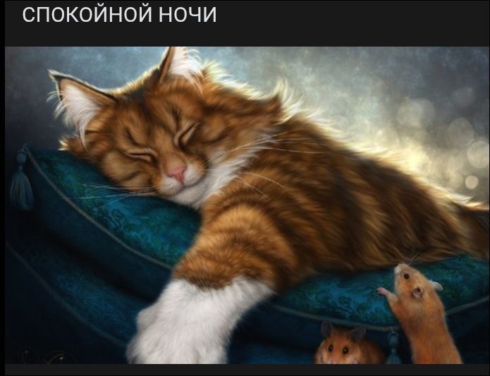 СПОКOINOЙ НОЧИ