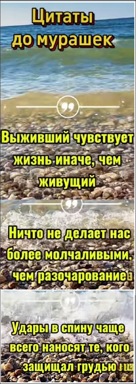Цитаты до мурашек

Выживший чувствует жизнь иначе, чем живущий

Ничто не делает нас более молчаливыми, чем разочарование

Удары в спину чаще всего наносят те, кого защищал грудью !!!