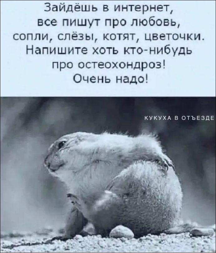 Зайдёшь в интернет, все пишут про любовь, сопли, слезы, котят, цветочки. Напишите хоть кто-нибудь про остеохондроз! Очень надо!