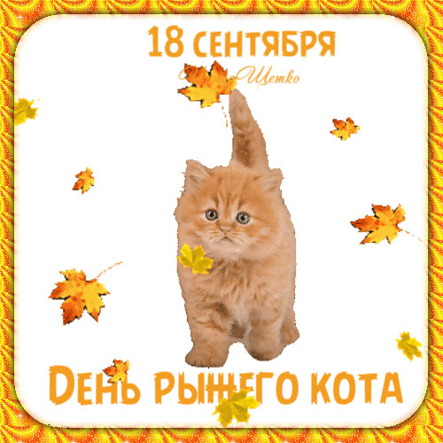 18 СЕНТЯБРЯ
ДЕНЬ РЫЖЕГО КОТА