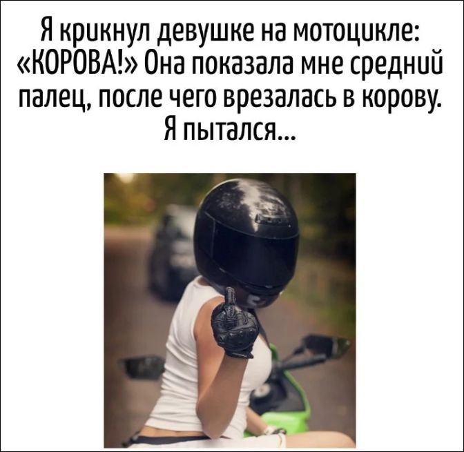 Я крикнул девушке на мотоцикле: «КОРОВА!» Она показала мне средний палец, после чего врезалась в корову. Я пытался...