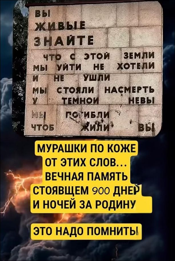 ВЫ ЖИВЫЕ ЗНАЙТЕ ЧТО С ЭТОЙ ЗЕМЛИ МЫ УЙТИ НЕ ХОТЕЛИ И НЕ УШЛИ МЫ СТОЯЛИ НА СМЕРТЬ ТЕМНОЙ НЕБЫ. МЫ ПОГИБЛИ ЖИЛИ. МУРАШКИ ПО КОЖЕ ОТ ЭТИХ СЛОВ... ВЕЧНАЯ ПАМЯТЬ. СТОЯЩЕМ 900 ДНЕЙ И НОЧЕЙ ЗА РОДИНУ. ЭТО НАДО ПОМНИТЬ.