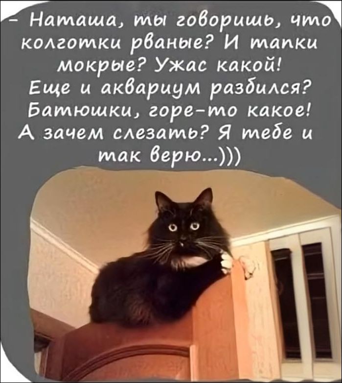 - Наташа, ты говоришь, что колготки рваные? И тапки мокрые? Ужас какой! Еще и аквариум разбился? Батюшки, горе-то какое! А зачем слезать? Я тебе и так верю...)))