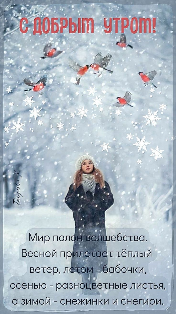 С ДОБРЫМ УТРОМ! Мир полон волшебства. Весной прилетет тёплый ветер, летом - бабочки, осенью - разноцветные листья, а зимой - снегинки и снегири.