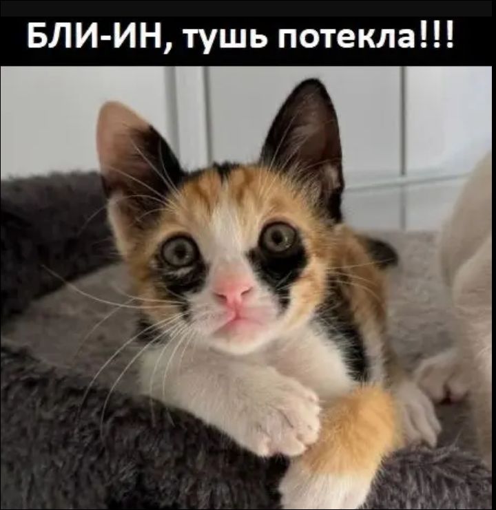 БЛИ-ИН, тушь потекла!!!