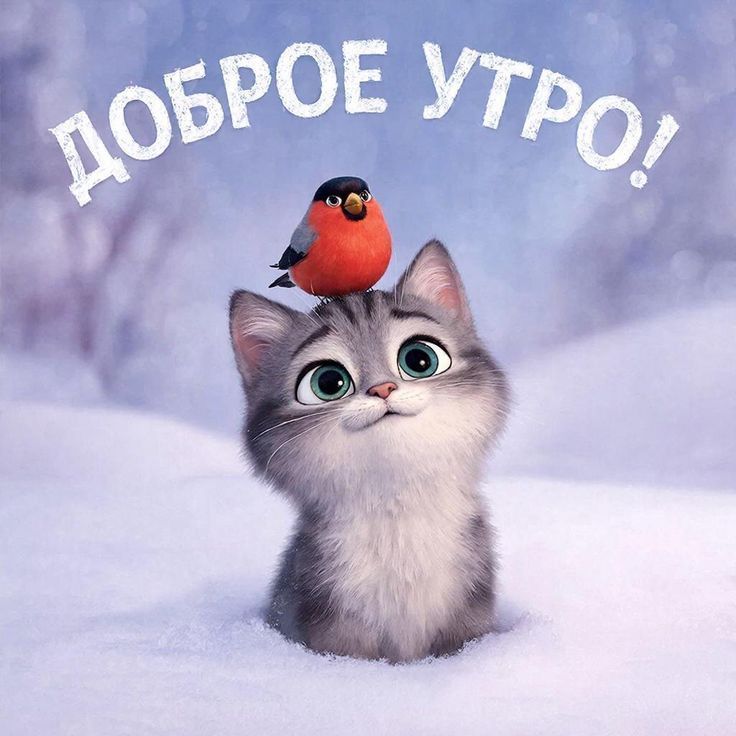 Доброе утро!