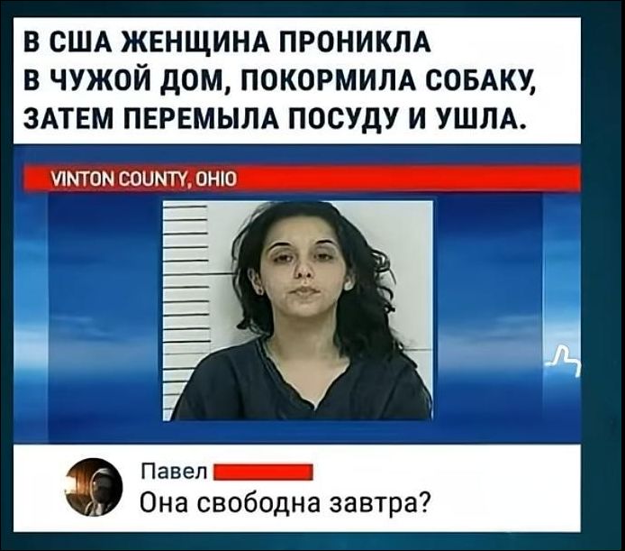 В США женщина проникла в чужой дом, покормила собаку, затем перемывала посуду и ушла. Она свободна завтра?