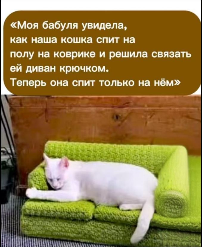 «Моя бабуля увидела, как наша кошка спит на полу на коврике и решила связать ей диван крючком. Теперь она спит только на нём»